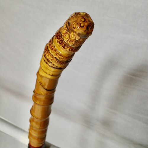 竹杖 ステッキ13 竹根鞭細工 漆塗 螺鈿仕様 ねぶち 希少 国産 亀甲竹