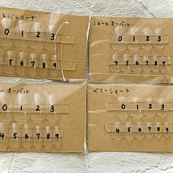 ご確認用ネイルチップ サイズ計測用ネイルチップ ネイルチップ（つけ爪） luna-nail 通販