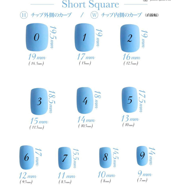 サイズ計測用ネイルチップ 8枚目の画像