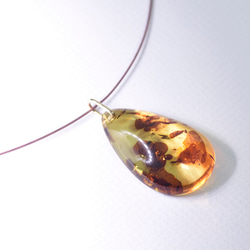 Baltic amber Necklace 2枚目の画像
