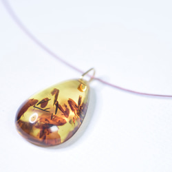 Baltic amber Necklace 1枚目の画像