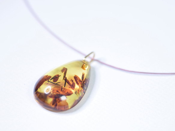 Baltic amber Necklace 1枚目の画像