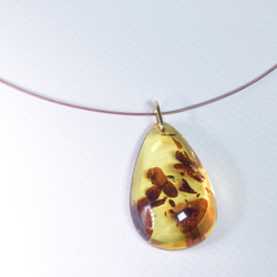 Baltic amber Necklace 4枚目の画像