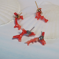 赤枝珊瑚と淡水真珠のピアス／316L 11枚目の画像
