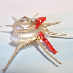 赤枝珊瑚と淡水真珠のピアス／316L 5枚目の画像