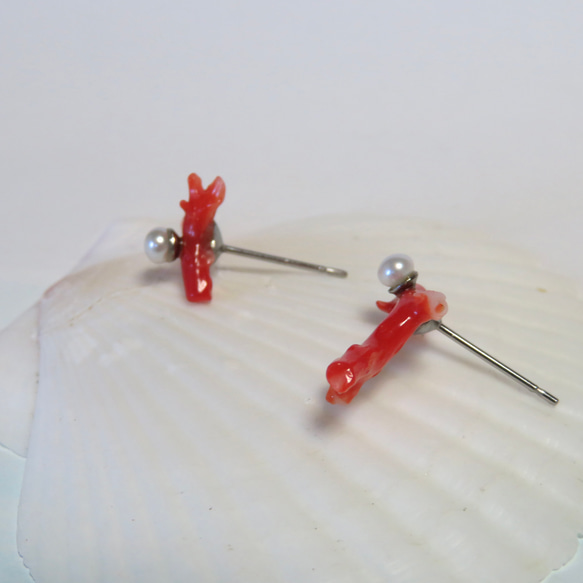 赤枝珊瑚と淡水真珠のピアス／316L 6枚目の画像