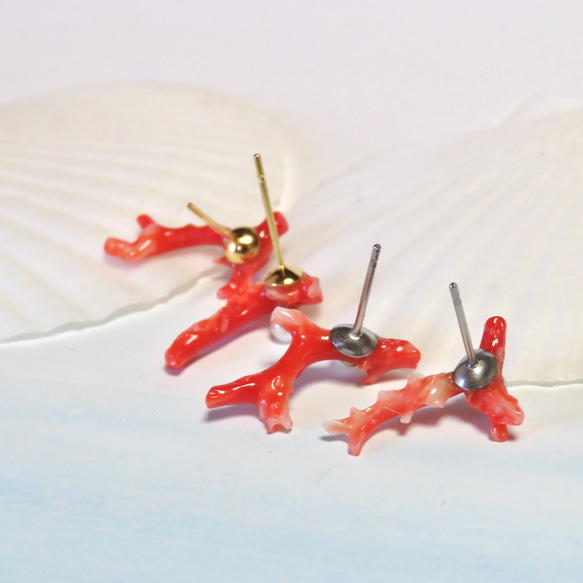 赤枝珊瑚と淡水真珠のピアス／316L 10枚目の画像