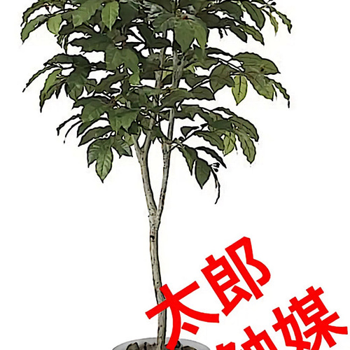光触媒 人工観葉植物 ウォールグリーン フェイク フラワー