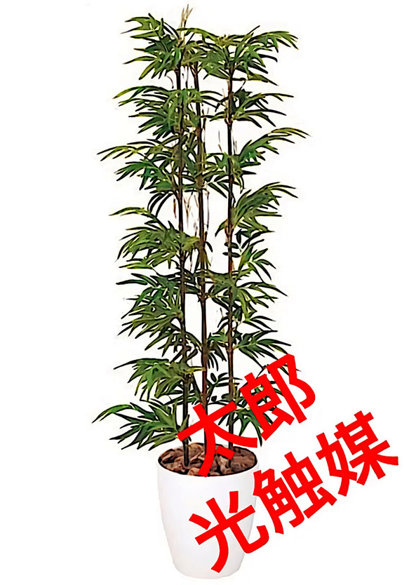 光触媒 人工観葉植物 ウォールグリーン フェイクグリーン 黒竹190