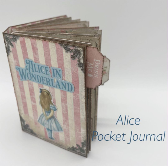 Alice in wonderland ジャーナルブック♡ Alice in wonderland