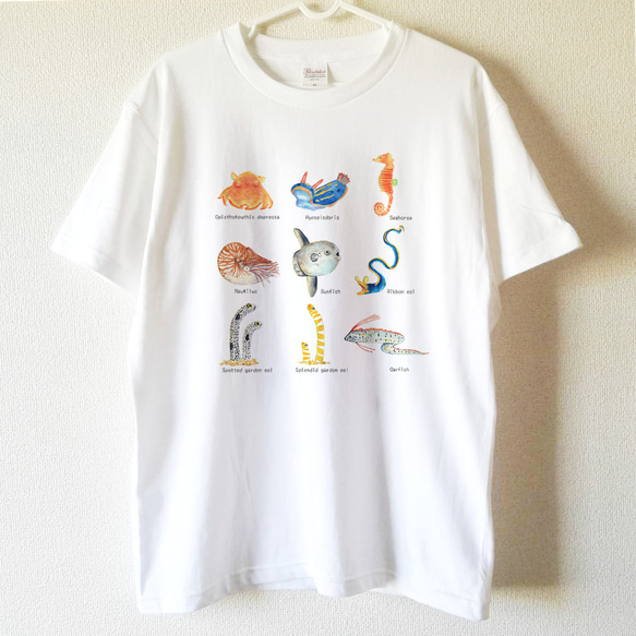 【送料無料】 不思議な海の生き物図鑑Tシャツ～子供から大人までみんなで使える13サイズ～ 1枚目の画像