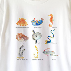 【送料無料】 不思議な海の生き物図鑑Tシャツ～子供から大人までみんなで使える13サイズ～ 2枚目の画像