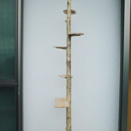 フラワースタンド ハンガーラック コートハンガー 天然吉野ヒノキ