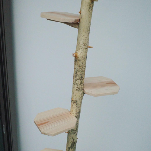 フラワースタンド ハンガーラック コートハンガー 天然吉野ヒノキ