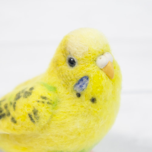 羊毛フェルトのセキセイインコ イエロー ハルクイン【オーダーメイド