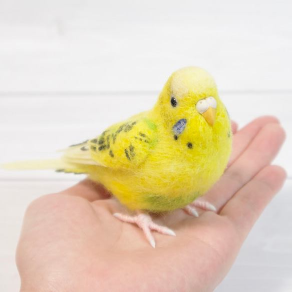 羊毛フェルトのセキセイインコ イエロー ハルクイン【オーダーメイド