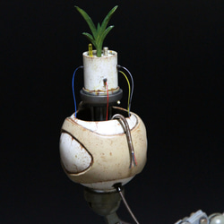 未来の植物再生ロボット 6枚目の画像