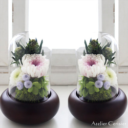 仏花」ポンポン菊のプリザーブドフラワーのガラスドーム＜受注