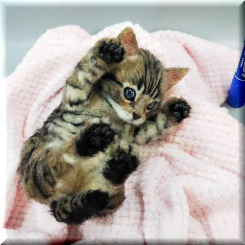 羊毛フェルト　ダラダラにゃんこのキジトラ猫ちゃん　猫 手乗り猫🐾キジトラ｜Aki&Shota【Aki】