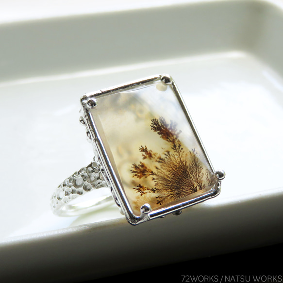 デンドリティック アゲートリング / Dendritic Agate Ring m1 1枚目の画像