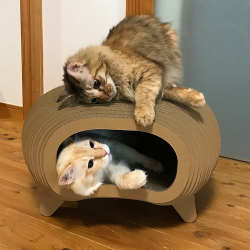 ソファ用サイドテーブル＆猫好み（スペースハウス） その他インテリア