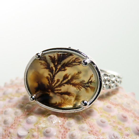 デンドリティック アゲートリング / Dendritic Agate Ring m5 2枚目の画像