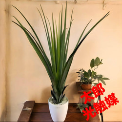 光触媒 人工観葉植物 ウォールグリーン フェイクグリーン ユーカリ高さ