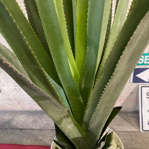 光触媒　人工観葉植物　ウォールグリーン　フェイクグリーン　バンダンザス 光触媒 人工観葉植物 ウォールグリーン フェイク フラワー