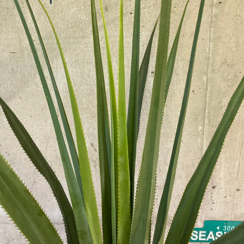 光触媒　人工観葉植物　ウォールグリーン　フェイクグリーン　バンダンザス 光触媒 人工観葉植物 ウォールグリーン フェイク フラワー