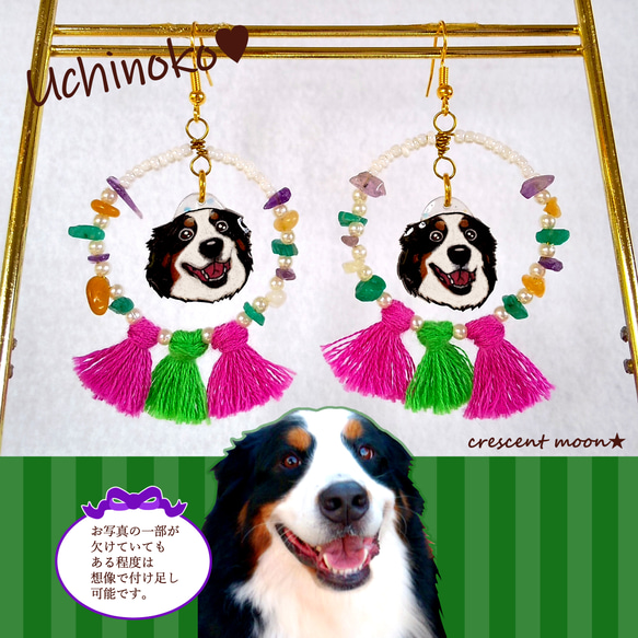 うちの子♥️タッセル イヤリングorピアス【赤紫×黄緑】【定形外郵便