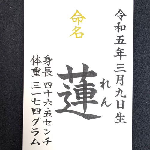 命名書 ハガキサイズ フレームなし 手書きオーダー なさい