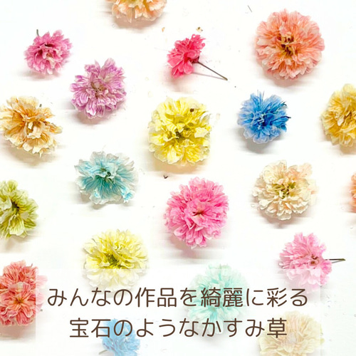 国産・大容量】かすみ草 グリーン かすみそう カスミソウ ドライ