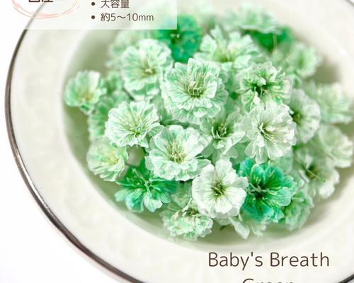 ebb58e418ea43e836672b2c2fc4470