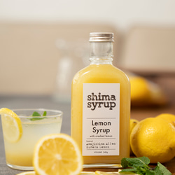 【3本セット】クラフトレモンシロップ（shima syrup Lemon240g） 2枚目の画像