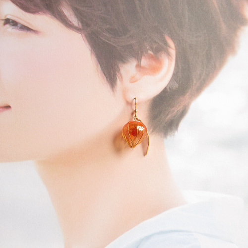 再販】ほおずき ピアス イヤリング 赤 オレンジ ピアス（フック