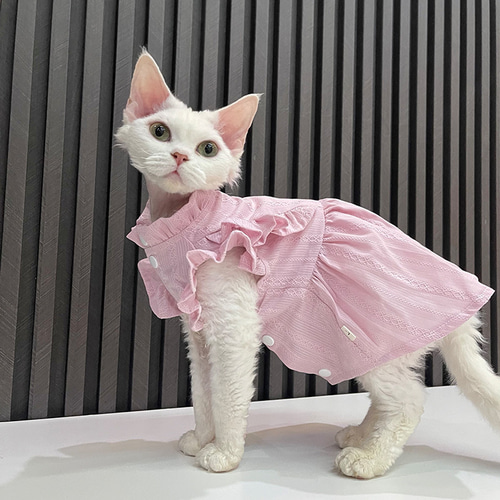 大人気】名入れ洋服 夏の新品 猫服ワンピース レースフリルの袖