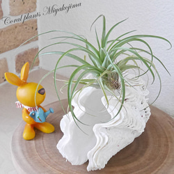 18027cd1015421dcafcdb9ff580a14