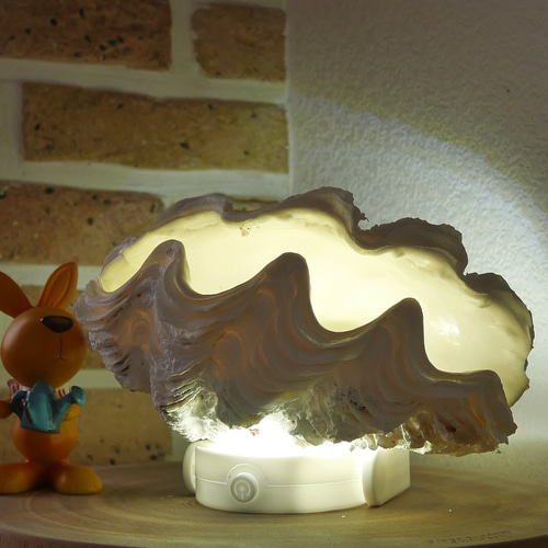 希少! 宮古島産 シャコ貝 単品 Sサイズ 素材販売 プランター 花器 貝殻