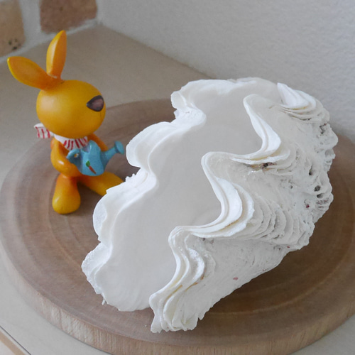 希少! 宮古島産 シャコ貝 単品 Sサイズ 素材販売 プランター 花器 貝殻