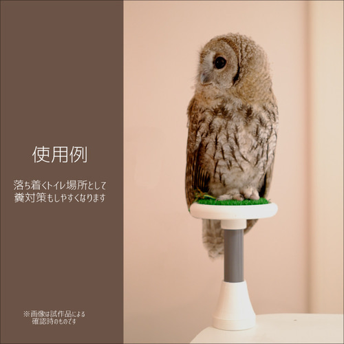 フクロウ放鳥用パーチ どこでもファルコン SPACE BLACK