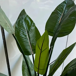 光触媒　人工観葉植物　ウォールグリーン　フェイク　フラワー　ストレッチア160 4枚目の画像
