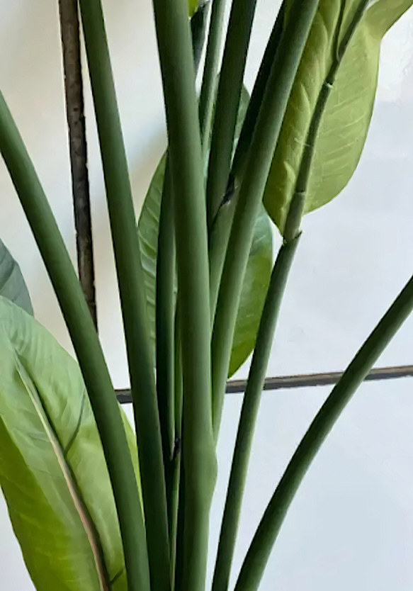 光触媒　人工観葉植物　ウォールグリーン　フェイク　フラワー　ストレッチア160 3枚目の画像