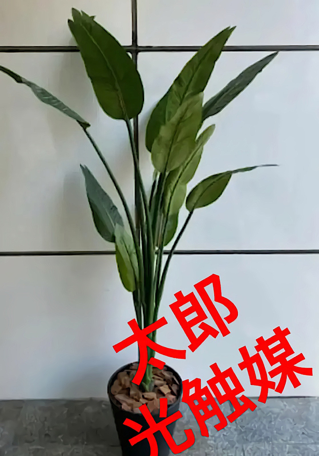 光触媒　人工観葉植物　ウォールグリーン　フェイク　フラワー　ストレッチア160
