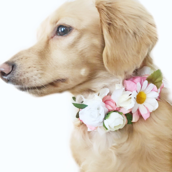 2way ヘッドドレス チョーカー ネックドレス 小型犬 ペット アクセサリー アンティーク風 お祝い おしゃれ 飾り 1枚目の画像