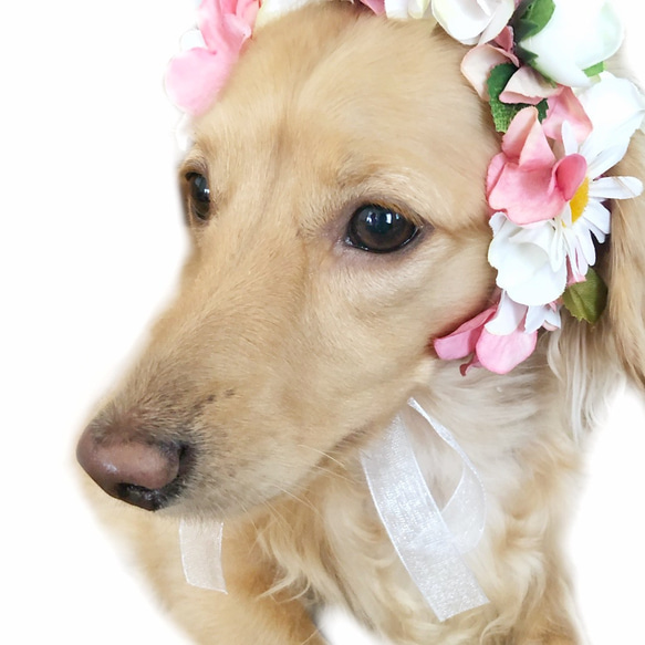 2way ヘッドドレス チョーカー ネックドレス 小型犬 ペット アクセサリー アンティーク風 お祝い おしゃれ 飾り 3枚目の画像