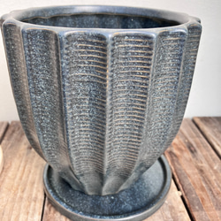 ☆再入荷☆人気の観葉植物「モンステラ」陶器鉢植え 7枚目の画像