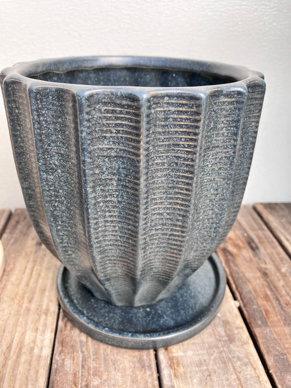 ☆再入荷☆人気の観葉植物「モンステラ」陶器鉢植え 7枚目の画像