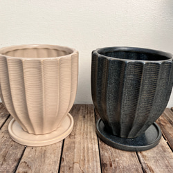 ☆再入荷☆人気の観葉植物「モンステラ」陶器鉢植え 8枚目の画像