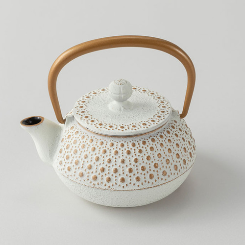 公式】岩鋳 南部鉄器 急須 3型亀甲（金/麻） ポット・急須 IWACHU 通販