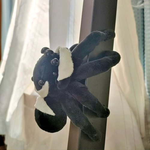 ウェル ハエトリグモのぬいぐるみ ハエトリグモのぬいぐるみ(アダンソンハエトリ) ぬいぐるみ 尸